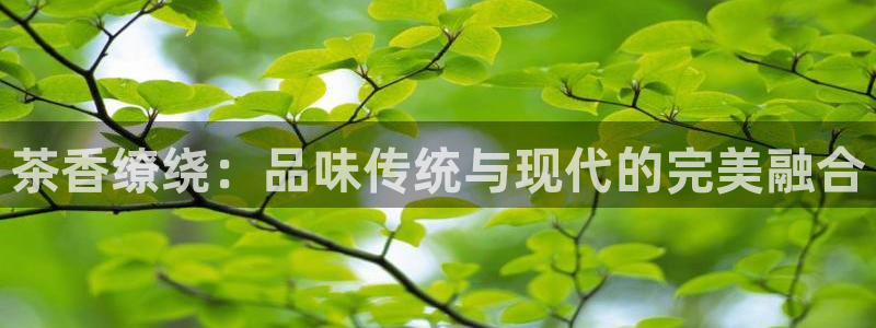摩登7d2