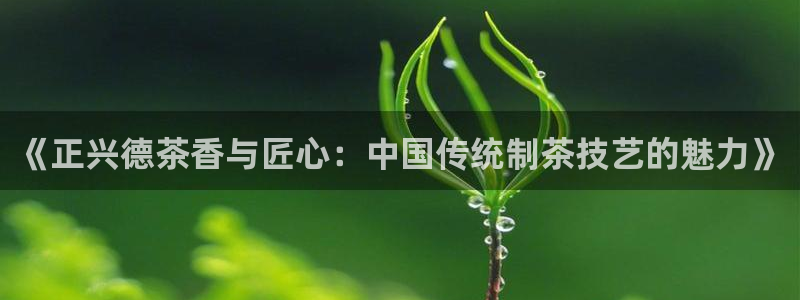 摩登3吕7O667