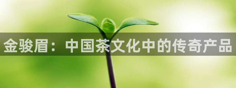 摩登7app网址下载
