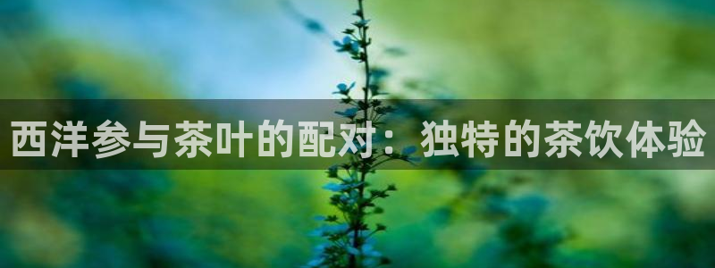 摩登7点