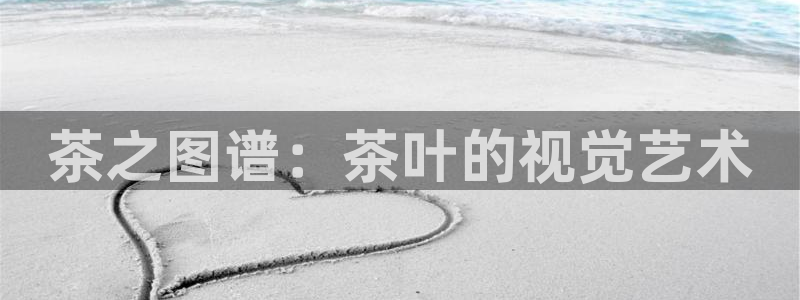 摩登7口碑