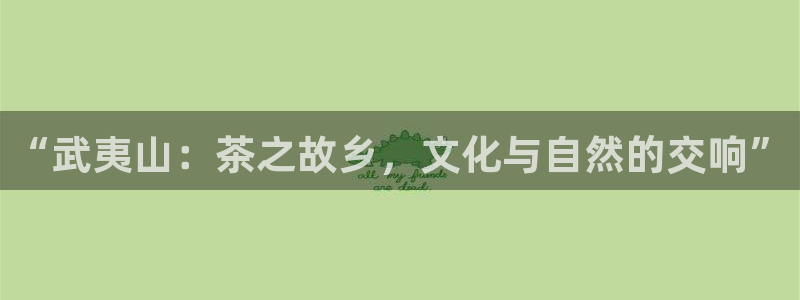 摩登7网站排名