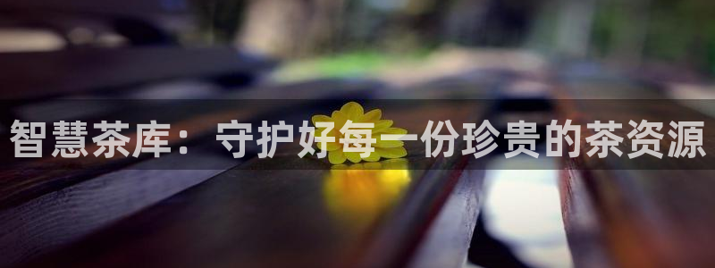 摩登招商丨金手指科捷7