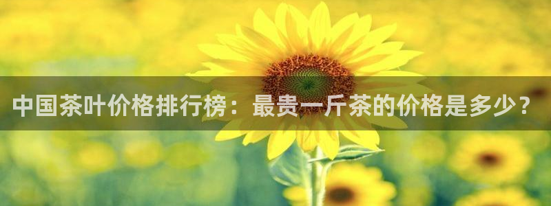 摩登7月7O667