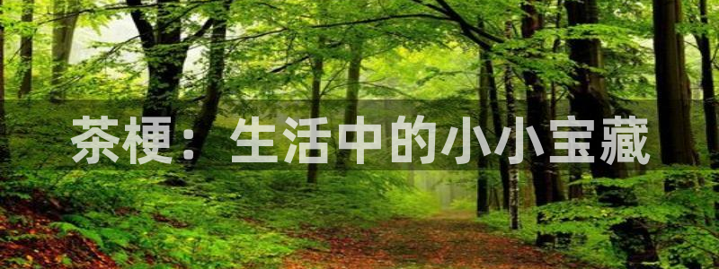 摩登5张7O667
