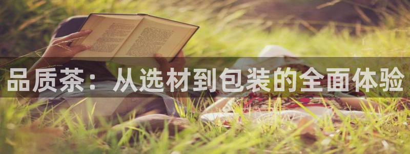 摩登7招商主管