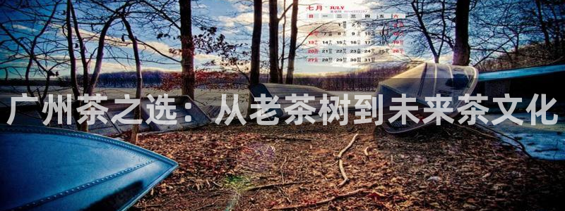 摩登7彩票平台登陆总代