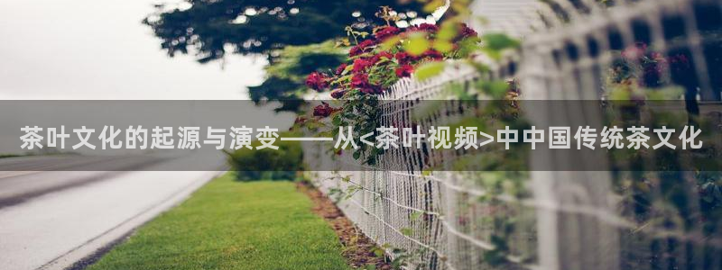 摩登7开户