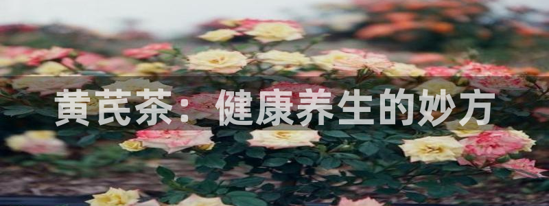 华彩7级摩登