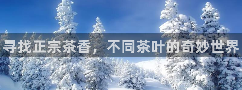 摩登7app下载