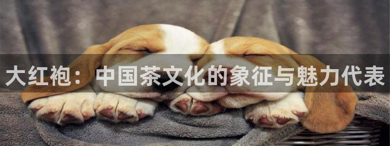 摩登7 lite