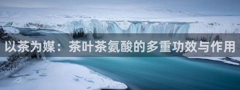 摩登7平台代理