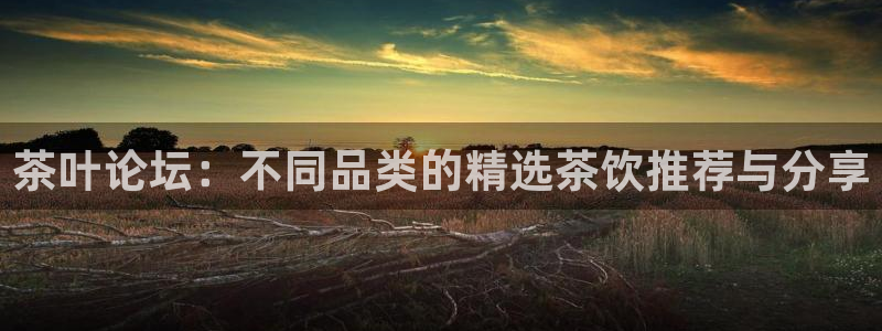 摩登7主管亲333OO