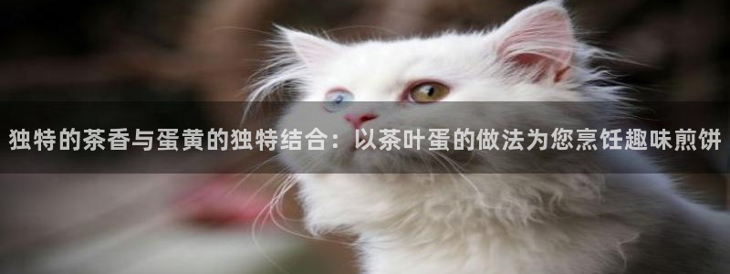 摩登7平台网址下载