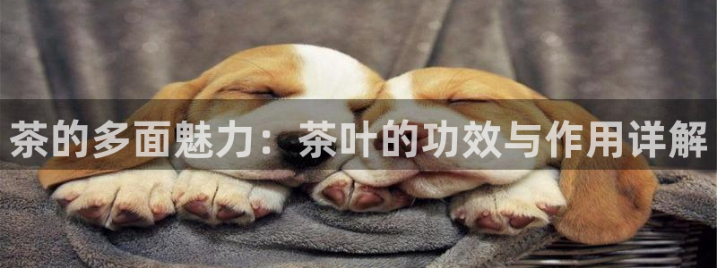 摩登7官网在哪下载