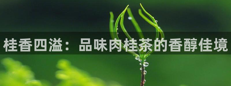 摩登7级