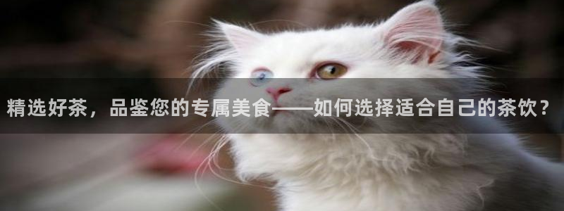 摩登6张7O667