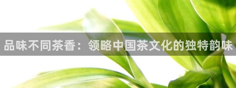 摩登6右7O667