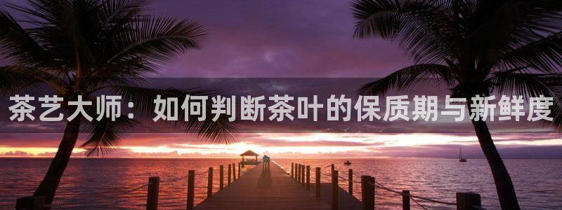 摩登3地7O667