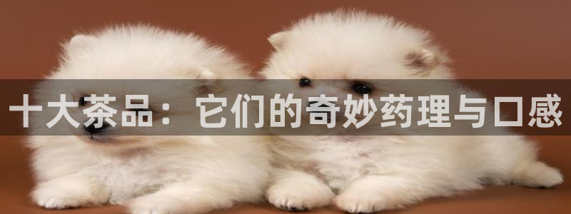 摩登5上7O667