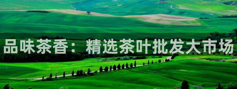 摩登乐园7