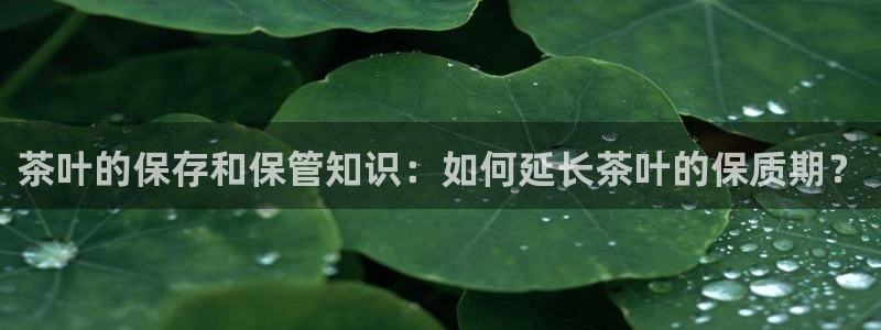摩登7下载地址