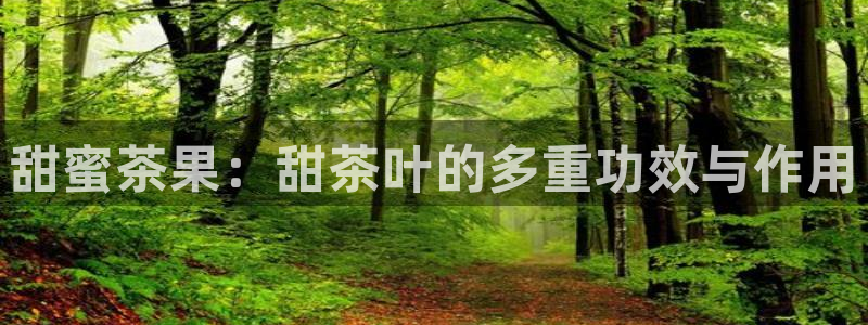 摩登7网彩正规吗
