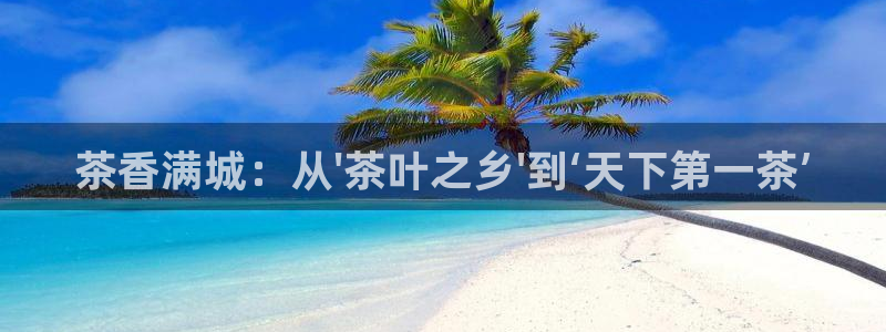 摩登7招商