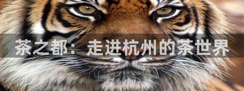 摩登7后