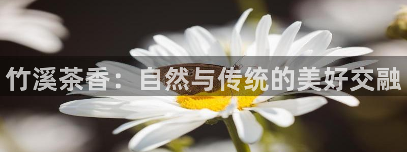 摩登7平台首页