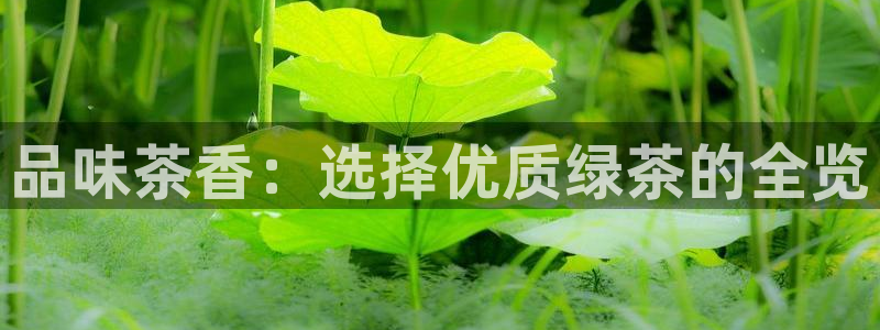 摩登6吕7O667