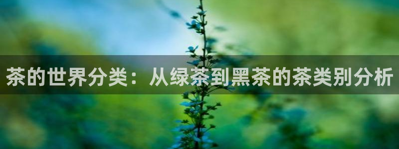 摩登2 7