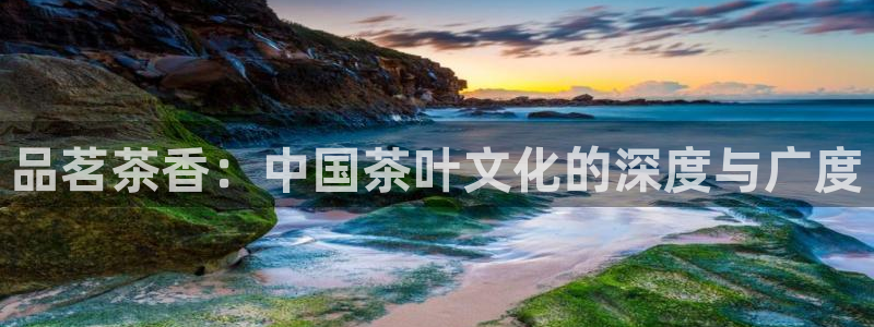 摩登7游戏