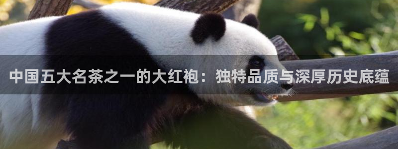摩登4地7O667
