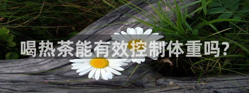 摩登7楼